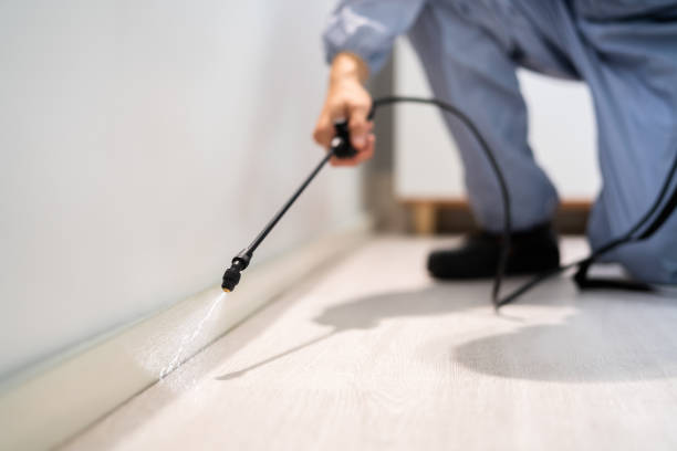 Licensed Termite Control service in Comanche County County, KS - Nex Pest Control