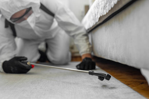 Professional Termite Control technician working in Comanche County County, KS